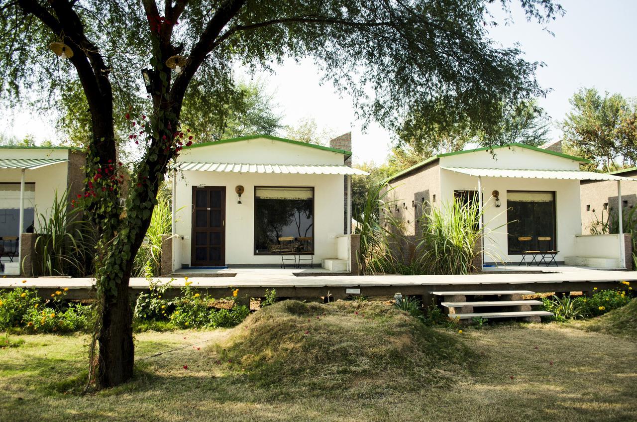 Kanota Camp Jaipur Ngoại thất bức ảnh